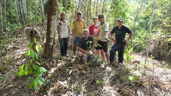 Penan with tourist planting tree. Photo courtesy of: Gavin Bate.
