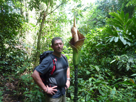 Turista posa junto a una planta única en el bosque tropical penan. Foto cortesía de: Gavin Bate.