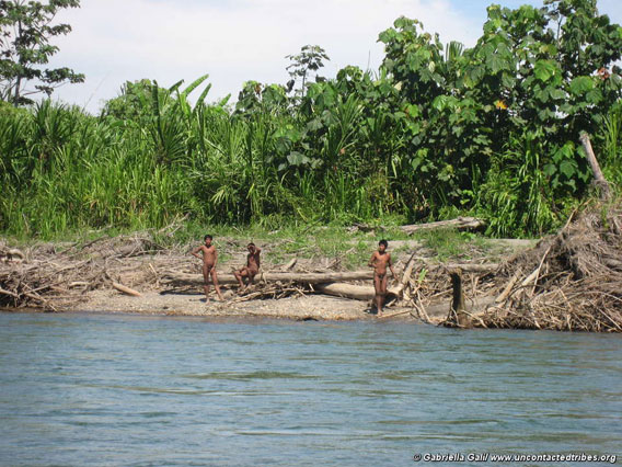 Tribe on riverbank. Photo courtesy of Survival International.