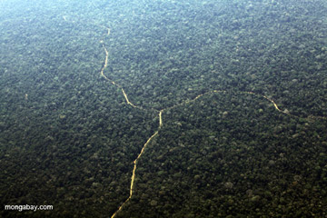 Aerial view of logging roads in the Peruvian Amazon. Photo by: Rhett A. Butler.