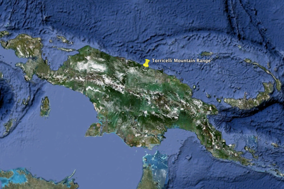  Torricelli Mountain Range on the island of New Guinea, home to the Critically Endangered Tenkile tree kangaroo. Image courtesy of Google Earth.