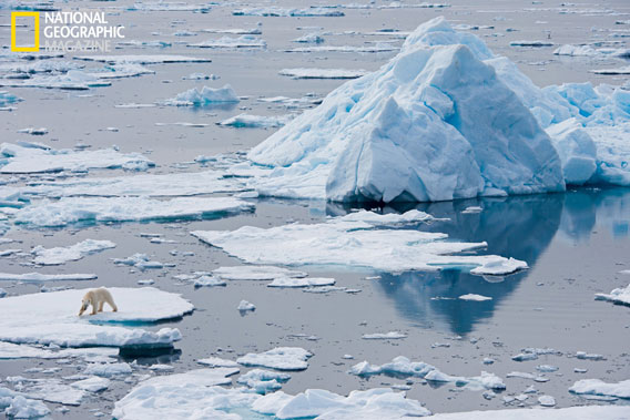  Eisbär in seinem Lebensraum. © National Geographic Entertainment. Foto von Florian Schulz. 