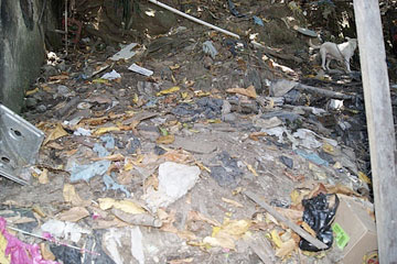Waste in the slums of Rio de Janeiro. Photo by Clare Raybould.