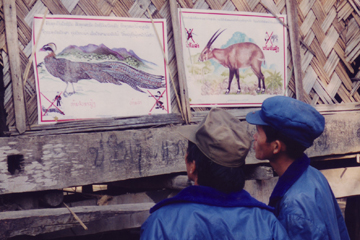  Conservation poster for the saola.  Photo courtesy of William Robichaud.