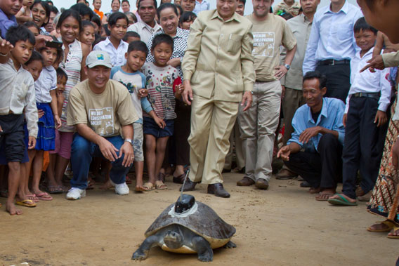 Crowds gather around the rerelease of the southern river terrapin. Photo by: Eleanor Briggs.