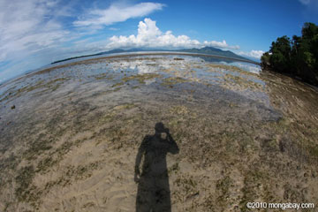 Low tide on the Indonesian island of Sulawesi.