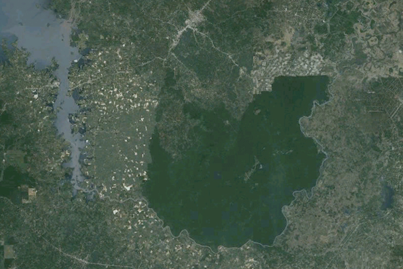  Tan Phu Forest as viewed by Google Earth. 