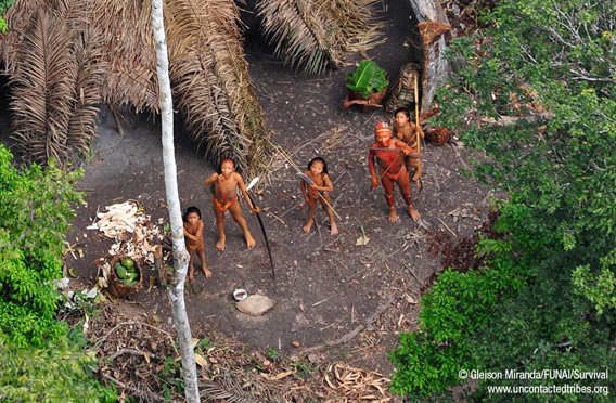 cono in ancient rainforest people