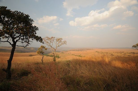 Unlike much of the DRC, Upemba National Park is largely savannah. Photo by: Frankfurt Zoological Society (FZS).