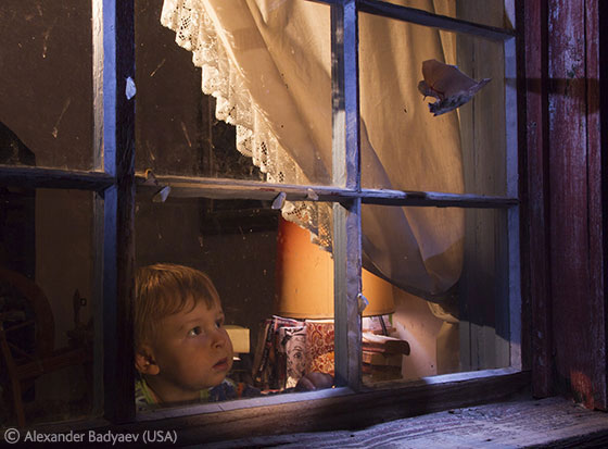 2011 Urban Wildlife - Winner: Boy meets nature. Photo by: Alexander Badyaev.