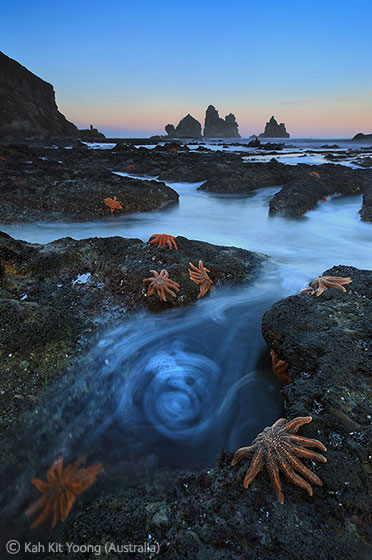 2011 Animals in their Environment - Highly Commended: Dawn stars. Photo by: Kah Kit Yoong.