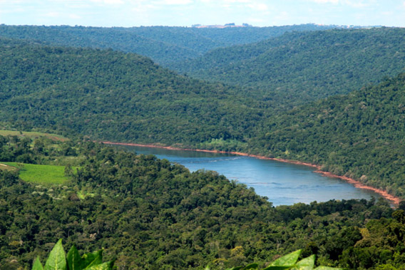 Overlooking the Atlantic Rainforest and Uruguay River in Misiones, then onwards to neighboring Brazil. Photo by: WLT.